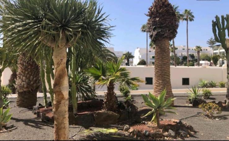 Apartmán Suri Costa Teguise Exteriér fotografie